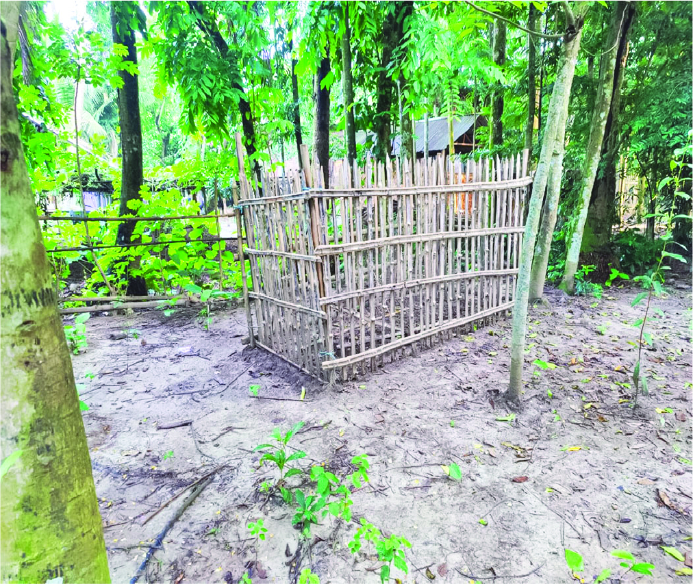 Image of আরাফাত মুন্সি